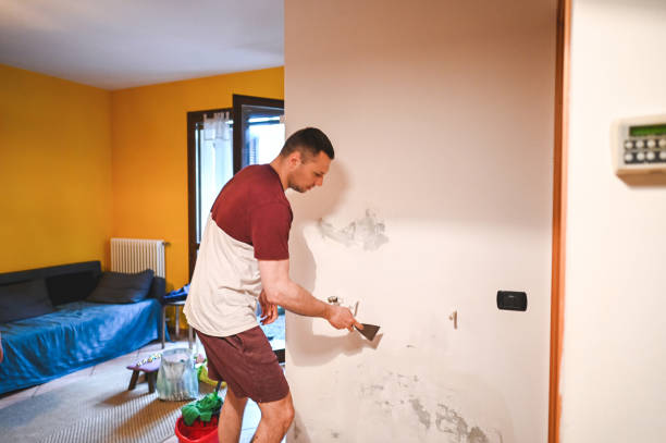 Best Residential Mold Remediation in Temple, GA